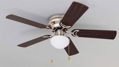 Ceiling Fan